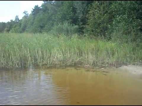 Муром святое озеро Муром святое озеро
